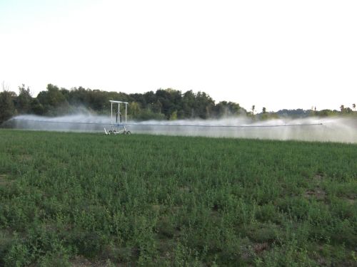 Marani spray boom 42m